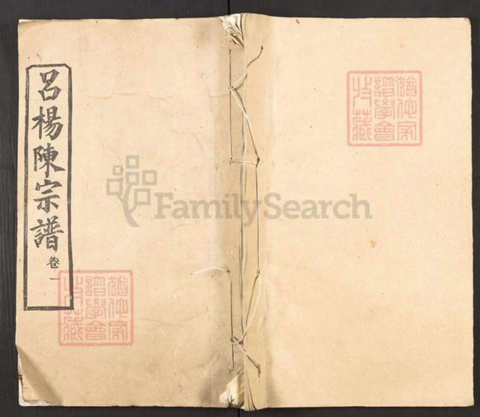 湖北省黄冈市陈氏务本堂族谱-吕杨陈氏宗谱.pdf电子版缩略图