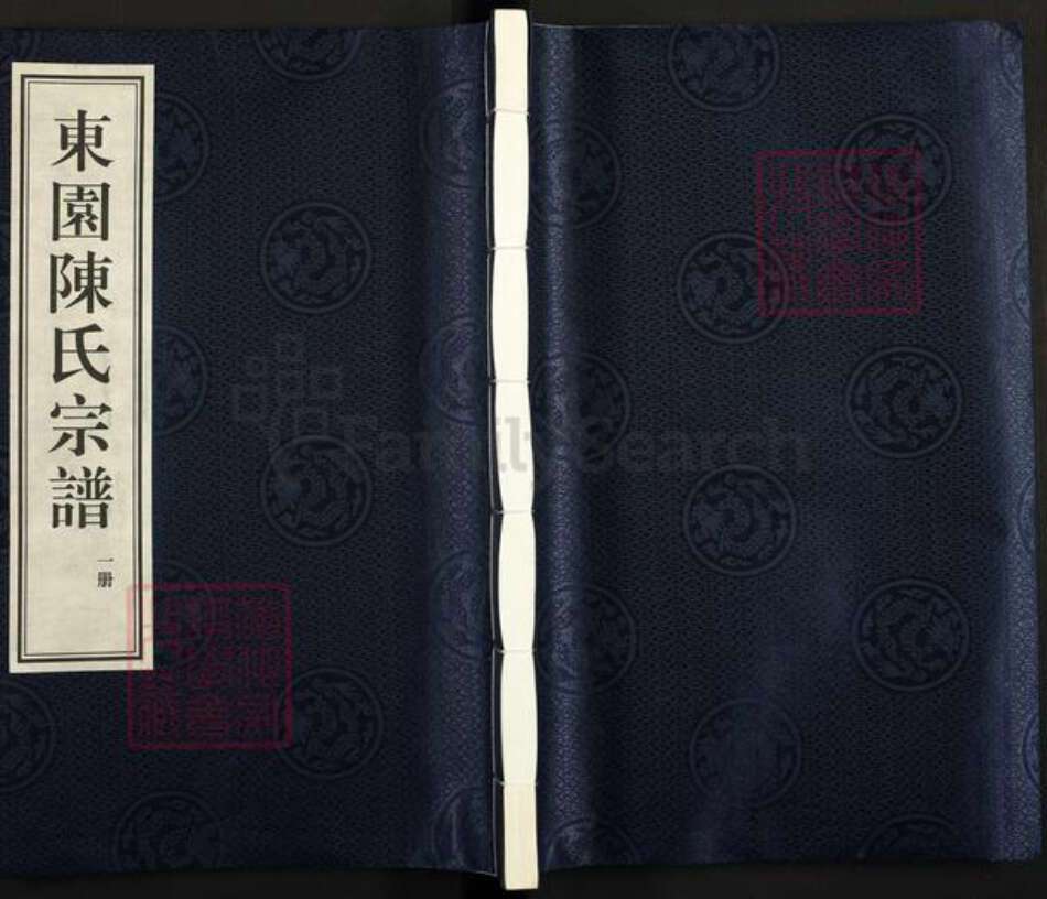 浙江省绍兴新昌县陈氏永孝堂族谱-东园陈氏宗谱.pdf电子版缩略图