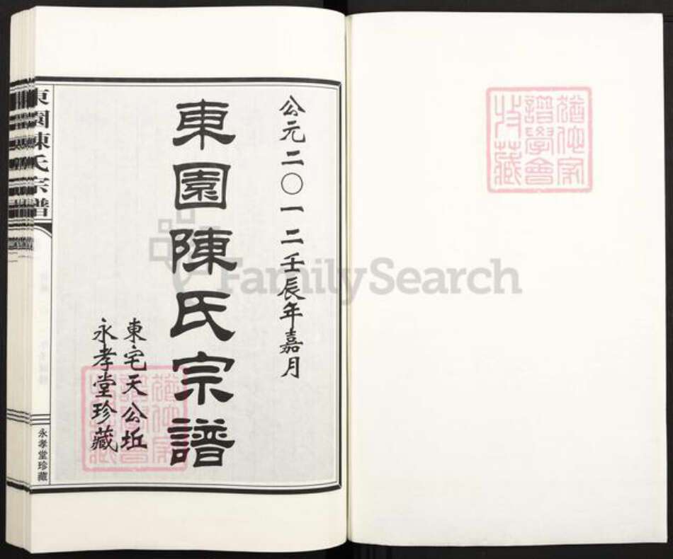 浙江省绍兴新昌县陈氏永孝堂族谱-东园陈氏宗谱.pdf电子版预览图1