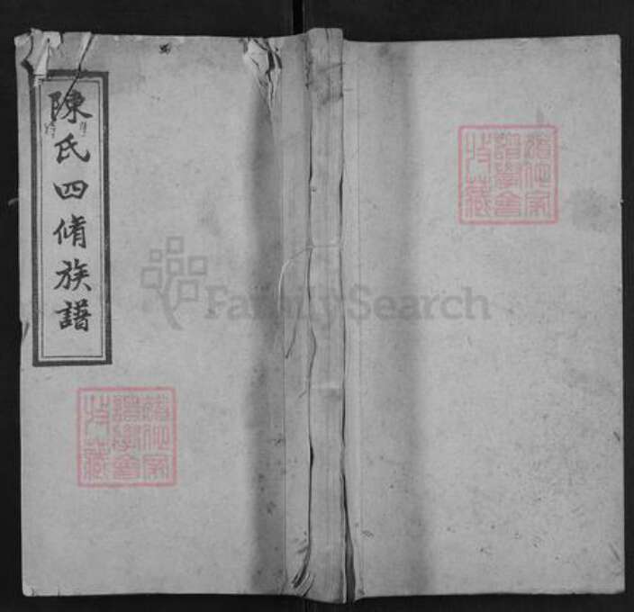 湖南省湘潭市湘乡市湘乡陈氏德星堂族谱-陈氏四修族谱.pdf电子版缩略图