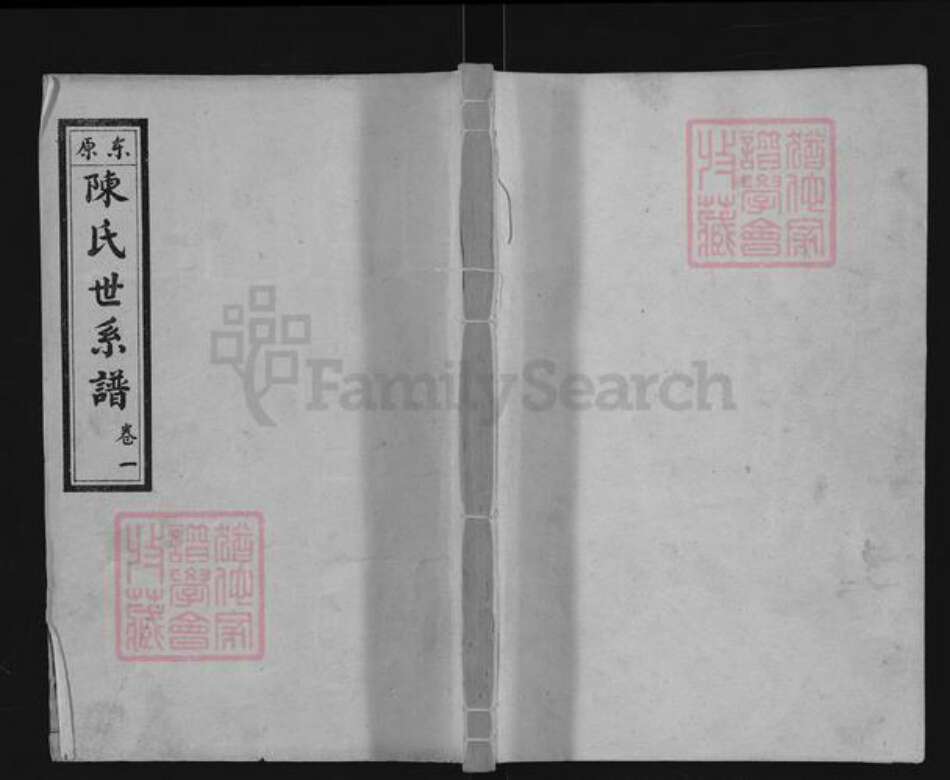 山东省泰安市东平县陈氏族谱-东原陈氏世系谱.pdf电子版缩略图