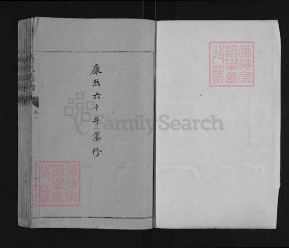 山东省泰安市东平县陈氏族谱-东原陈氏世系谱.pdf电子版预览图1