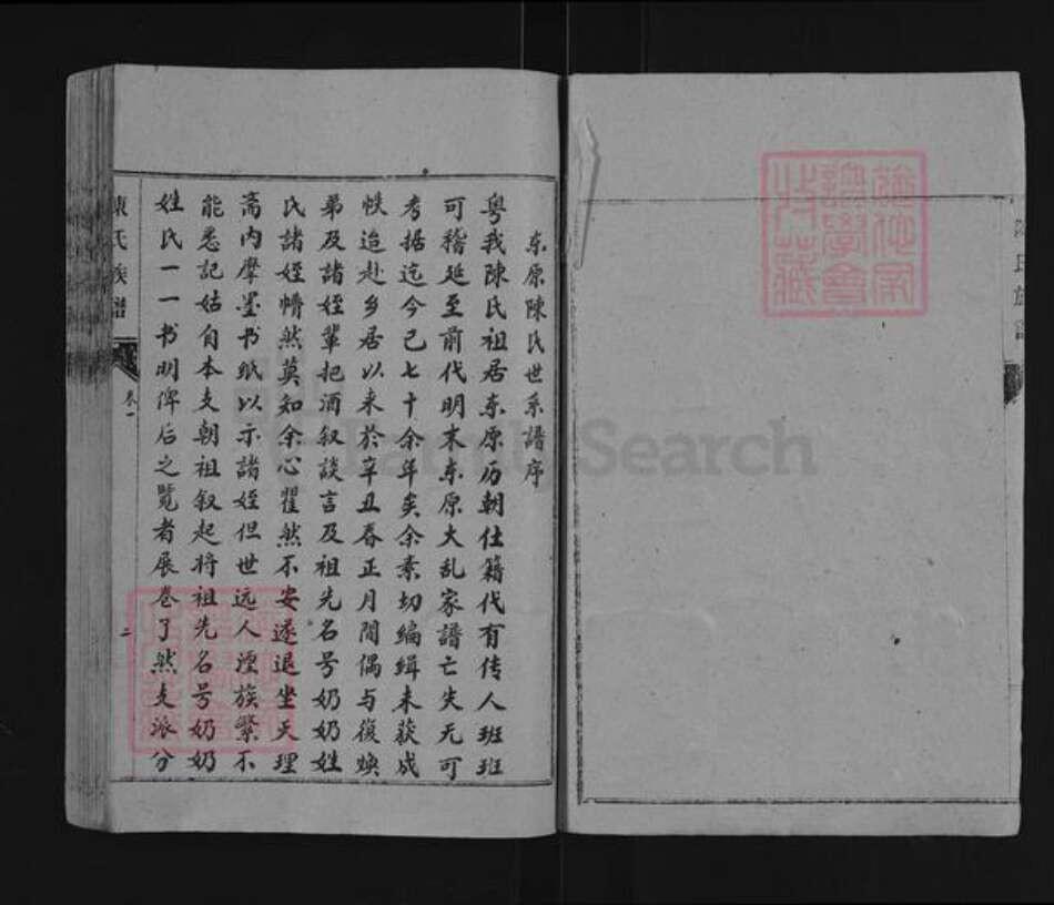 山东省泰安市东平县陈氏族谱-东原陈氏世系谱.pdf电子版预览图2