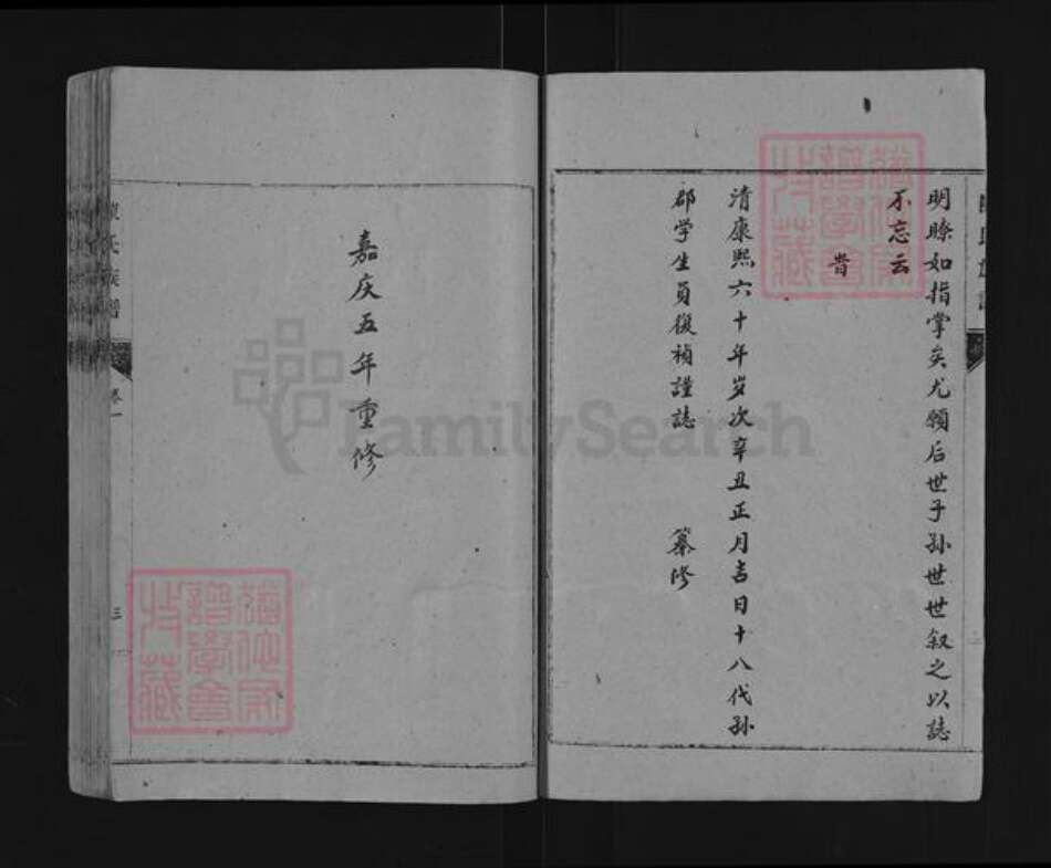 山东省泰安市东平县陈氏族谱-东原陈氏世系谱.pdf电子版预览图3