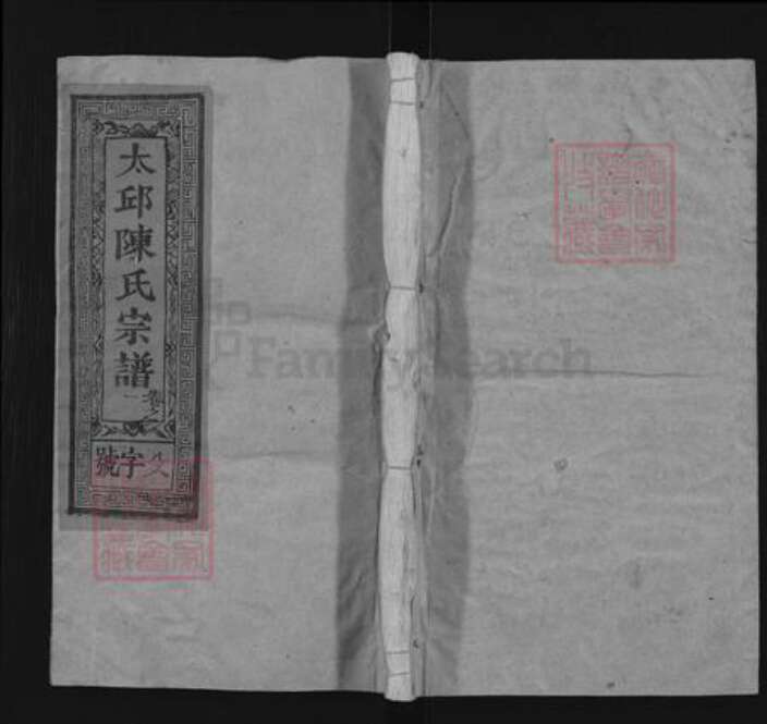 福建省南平市延平区陈氏颖川堂族谱-太邱陈氏宗谱.pdf电子版缩略图