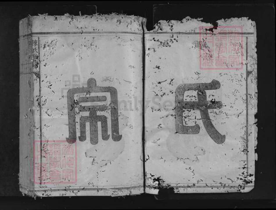 江西省宜春市靖安县陈氏族谱-陈氏族谱.pdf电子版预览图2