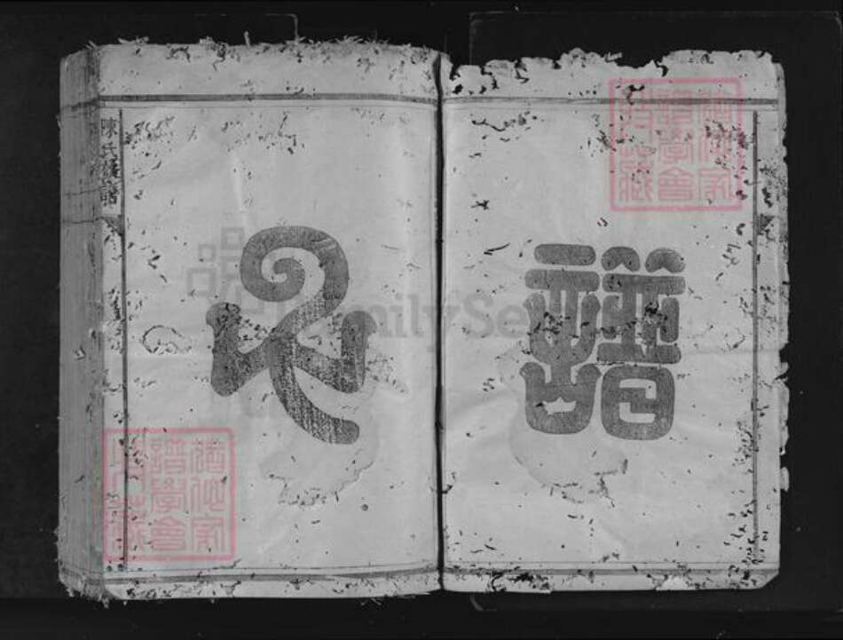 江西省宜春市靖安县陈氏族谱-陈氏族谱.pdf电子版预览图3