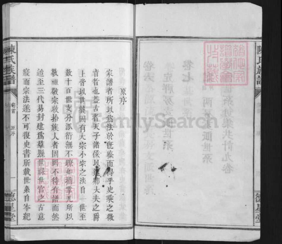 江西省九江市德安县车桥镇陈氏德星堂族谱-陈氏族谱.pdf电子版预览图5