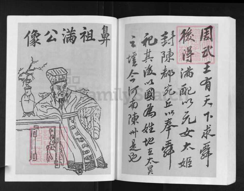 湖北省孝感市汉川市陈氏族谱-陈氏宗谱元部续编.pdf电子版预览图3