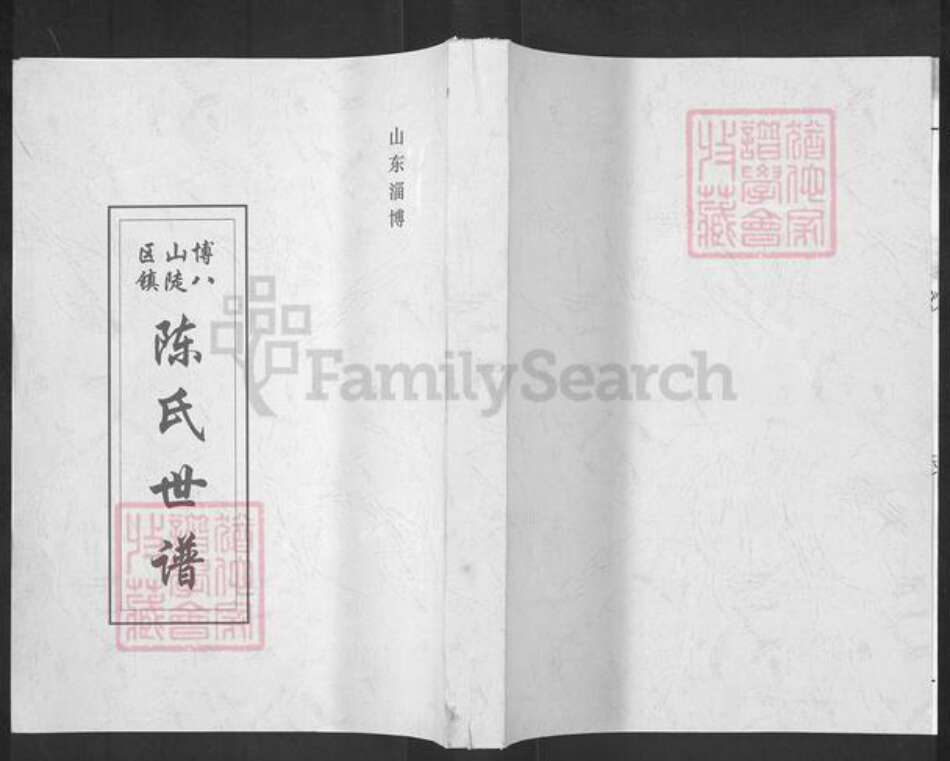 山东省淄博市博山区陈氏族谱-博山区八陡镇陈氏世谱.pdf电子版缩略图