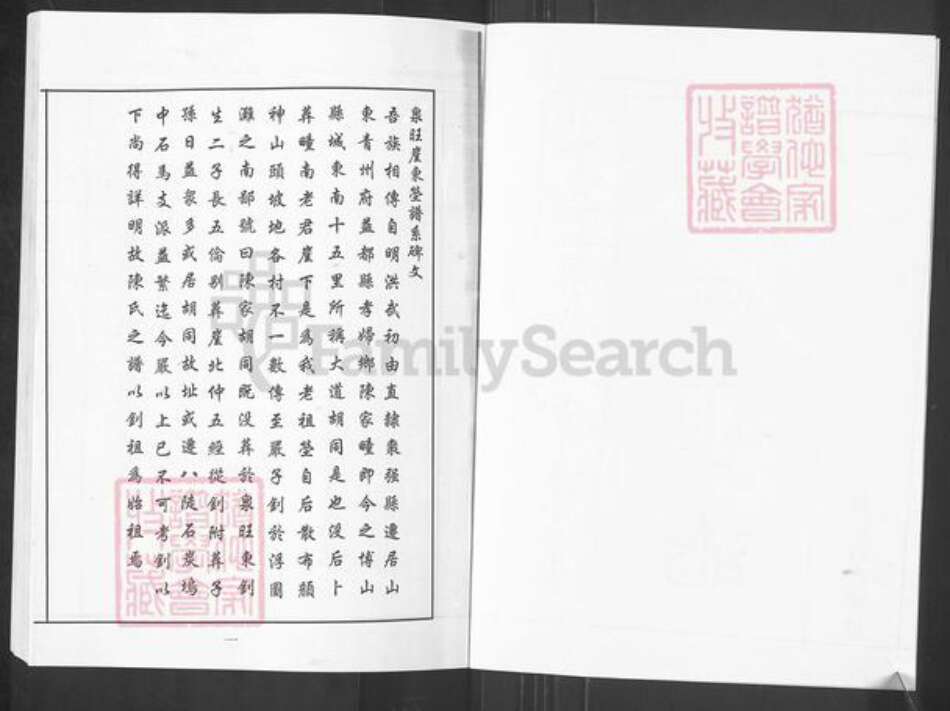 山东省淄博市博山区陈氏族谱-博山区八陡镇陈氏世谱.pdf电子版预览图2