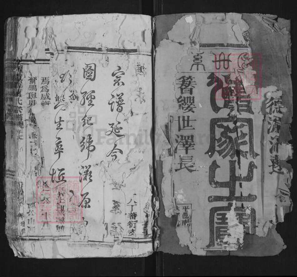 浙江省温州市苍南县藻溪镇陈氏族谱-颖川陈氏宗谱.pdf电子版预览图1