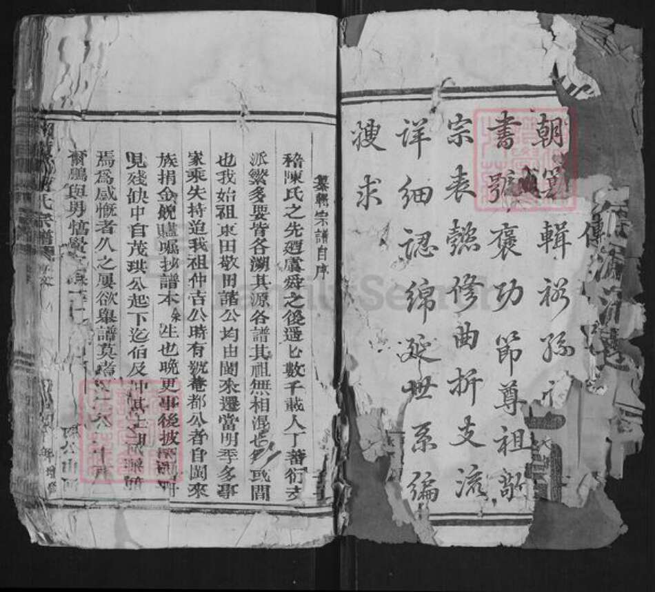 浙江省温州市苍南县藻溪镇陈氏族谱-颖川陈氏宗谱.pdf电子版预览图2