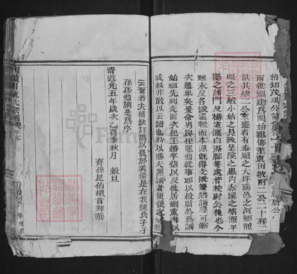 浙江省温州市苍南县藻溪镇陈氏族谱-颖川陈氏宗谱.pdf电子版预览图3