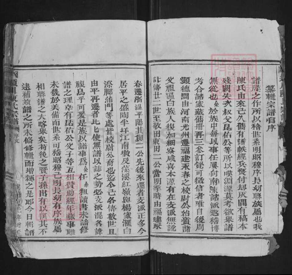 浙江省温州市苍南县藻溪镇陈氏族谱-颖川陈氏宗谱.pdf电子版预览图4