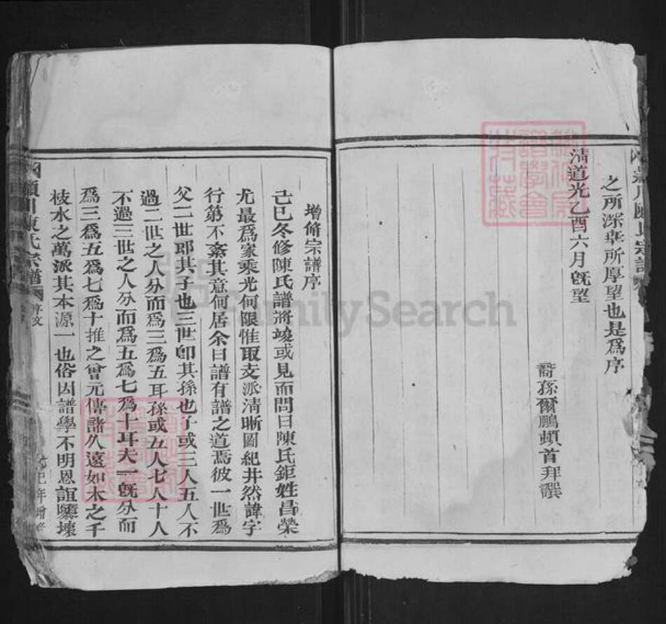 浙江省温州市苍南县藻溪镇陈氏族谱-颖川陈氏宗谱.pdf电子版预览图5