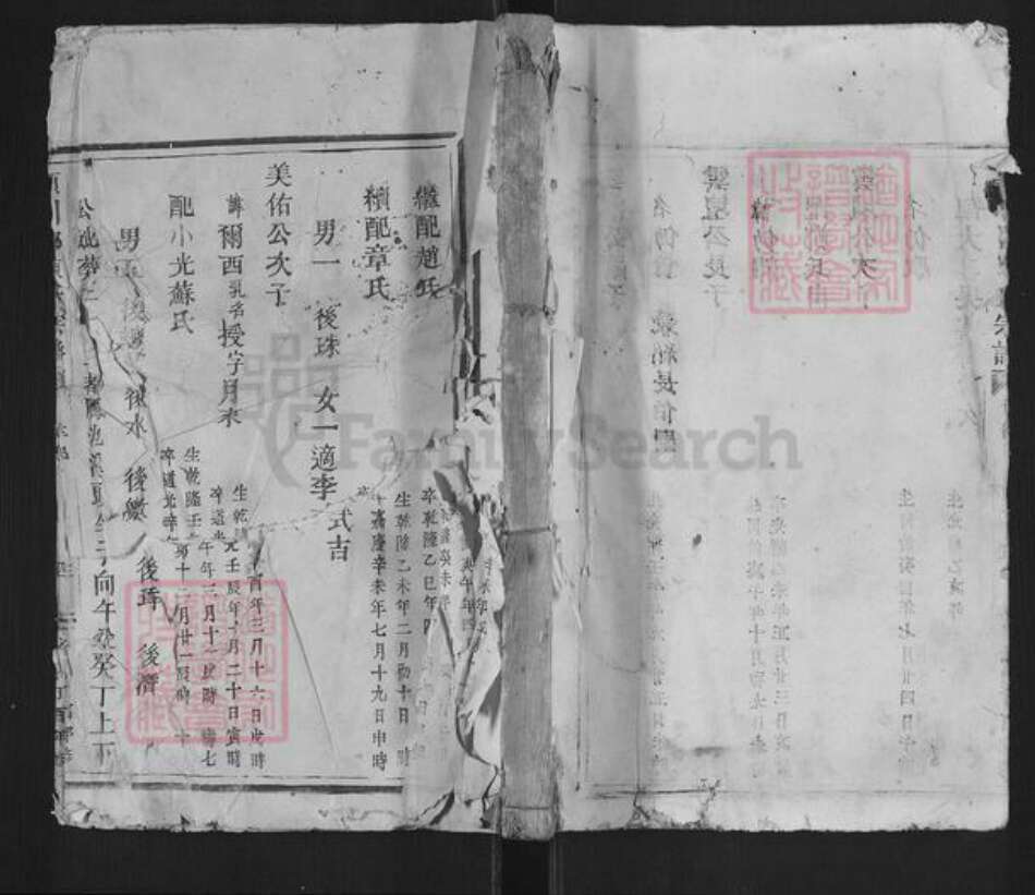 浙江省温州市平阳县陈氏族谱-颍川郡陈氏宗谱.pdf电子版缩略图