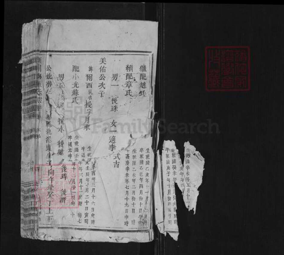 浙江省温州市平阳县陈氏族谱-颍川郡陈氏宗谱.pdf电子版预览图1