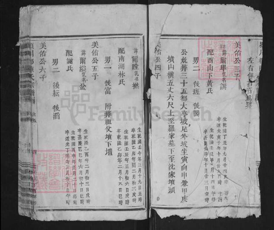 浙江省温州市平阳县陈氏族谱-颍川郡陈氏宗谱.pdf电子版预览图2