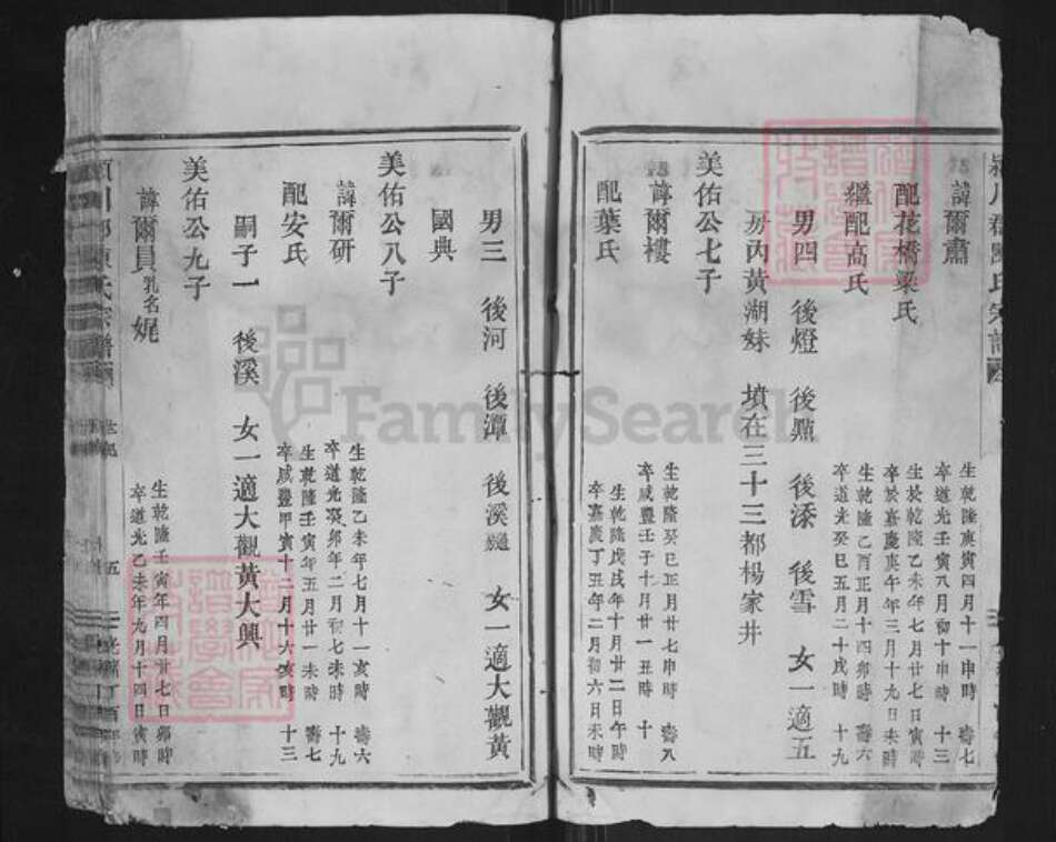 浙江省温州市平阳县陈氏族谱-颍川郡陈氏宗谱.pdf电子版预览图3