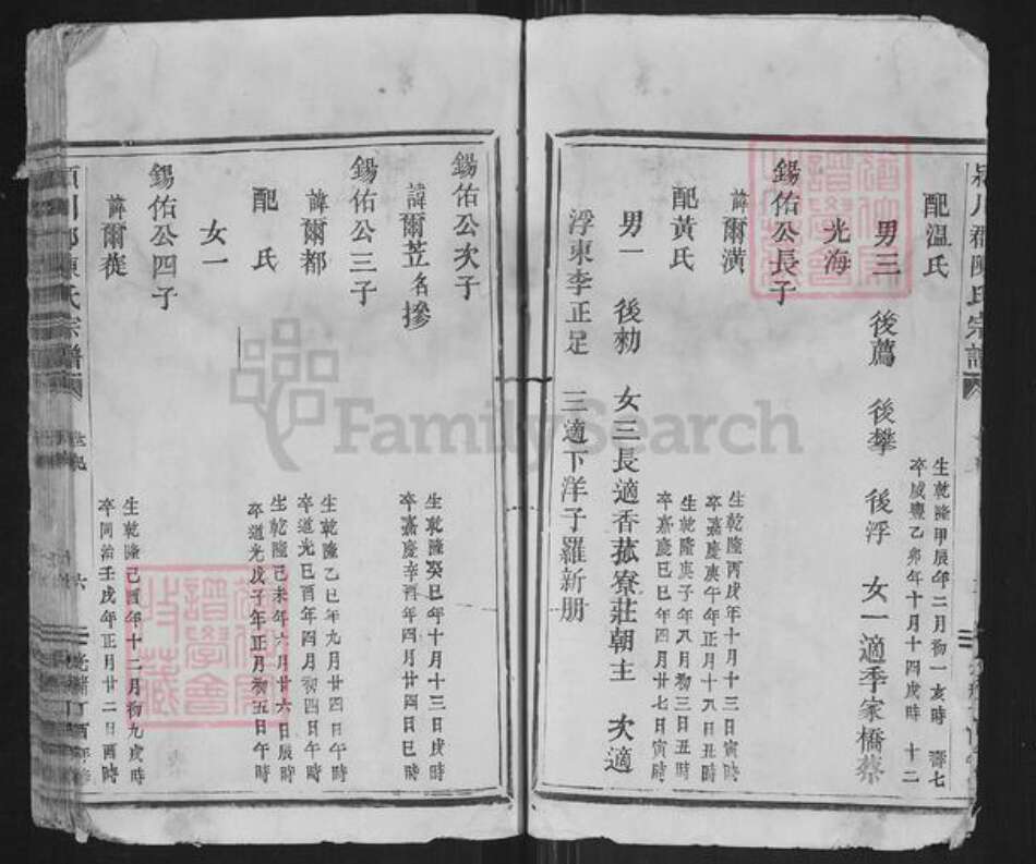 浙江省温州市平阳县陈氏族谱-颍川郡陈氏宗谱.pdf电子版预览图4