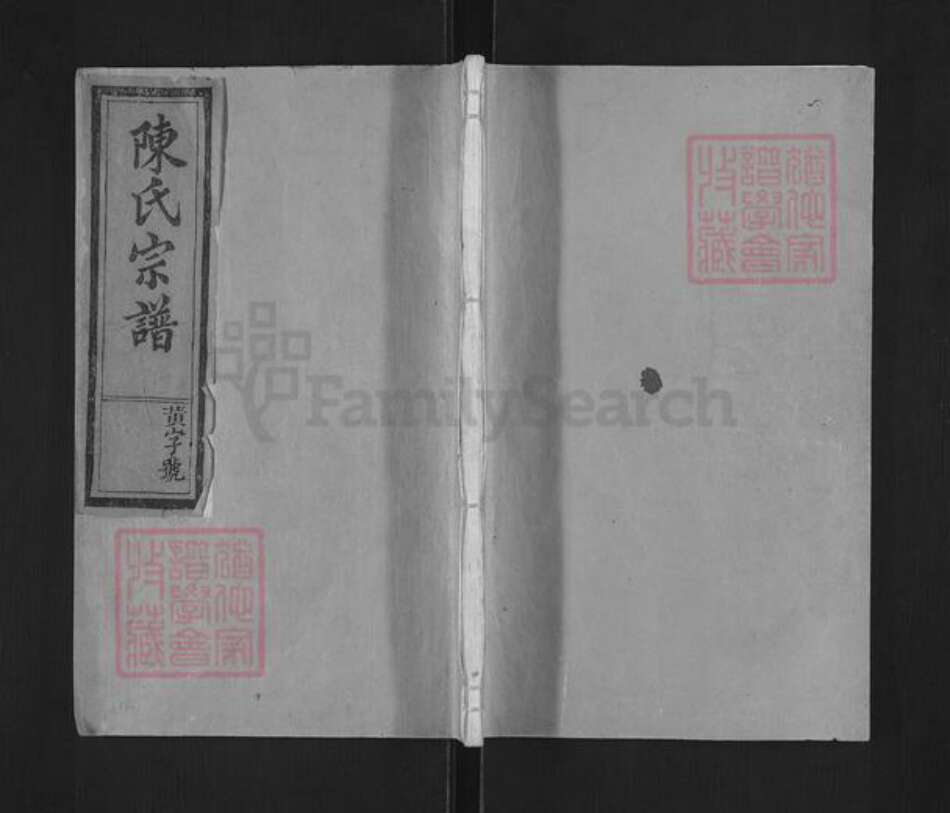 福建省泉州市永春县蓬壶镇陈氏聚奎堂族谱-陈氏宗谱.pdf电子版缩略图