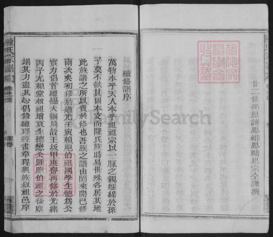 福建省泉州市永春县蓬壶镇陈氏聚奎堂族谱-陈氏宗谱.pdf电子版预览图5