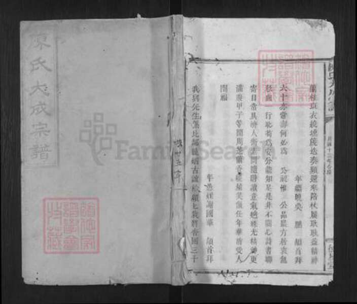 广东省梅州市平远县大柘镇陈氏德星堂族谱-陈氏大成宗谱.pdf电子版缩略图