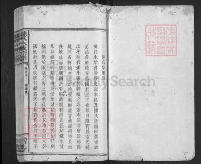 广东省梅州市平远县大柘镇陈氏德星堂族谱-陈氏大成宗谱.pdf电子版预览图1