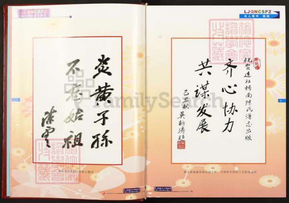 福建省福州市连江县陈氏族谱-连江桥南陈氏谱志.pdf电子版预览图3