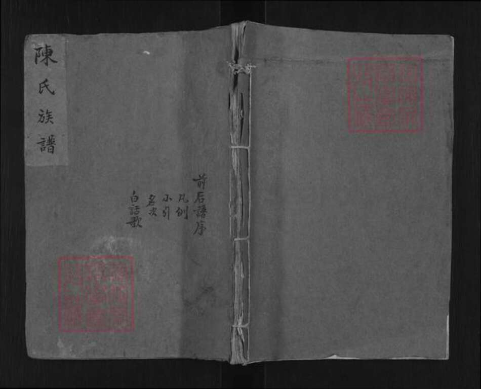 山东省泰安市东平县陈氏族谱-陈氏族谱.pdf电子版缩略图