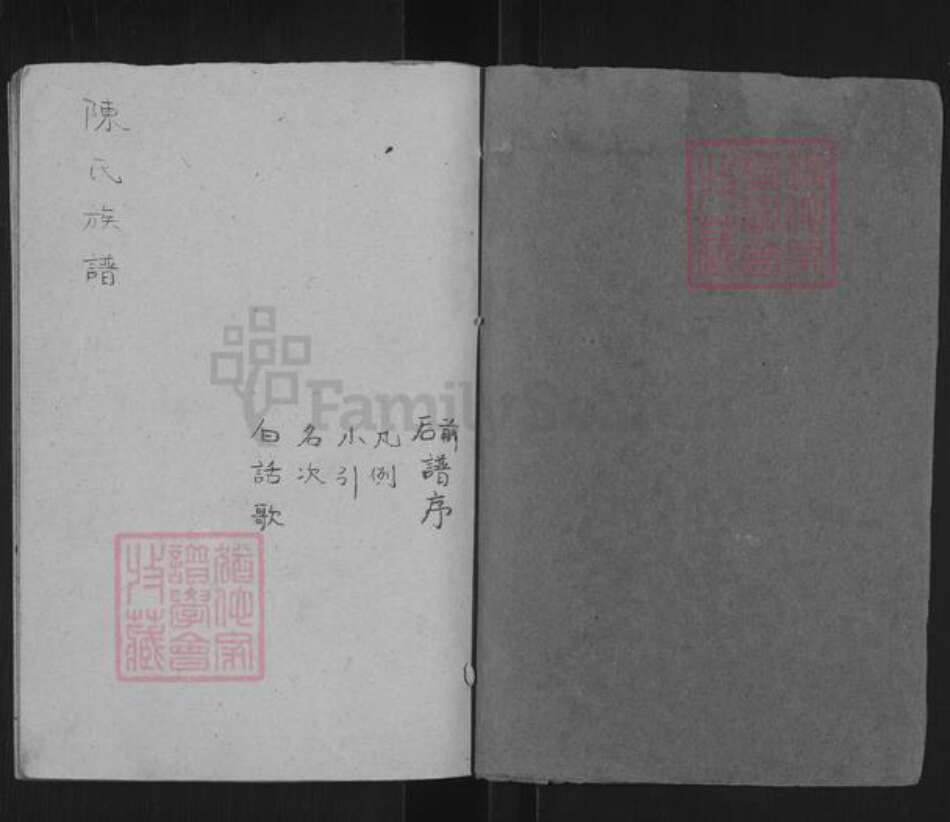 山东省泰安市东平县陈氏族谱-陈氏族谱.pdf电子版预览图1