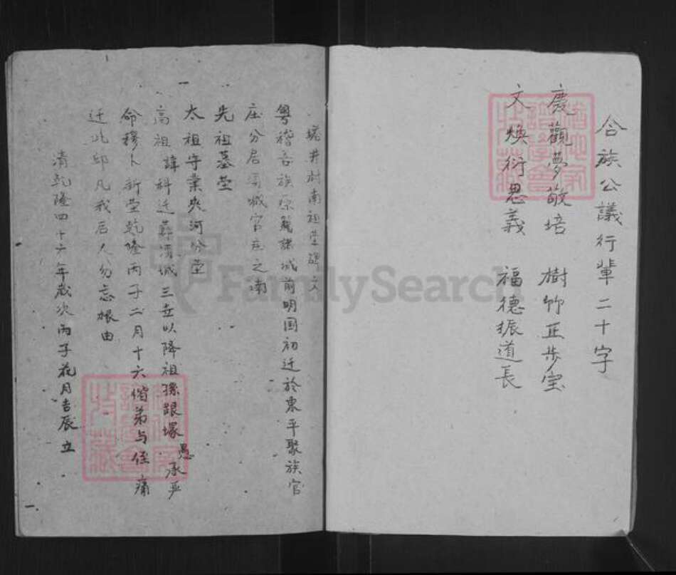 山东省泰安市东平县陈氏族谱-陈氏族谱.pdf电子版预览图2