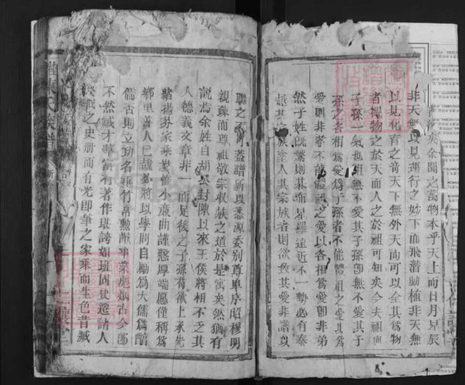 湖南省郴州市桂东县陈氏仁让堂族谱-桂东陈氏族谱.pdf电子版预览图2