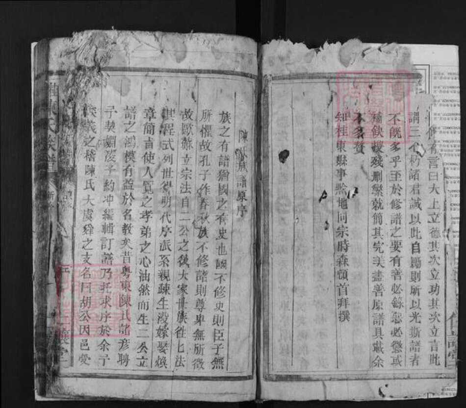 湖南省郴州市桂东县陈氏仁让堂族谱-桂东陈氏族谱.pdf电子版预览图3