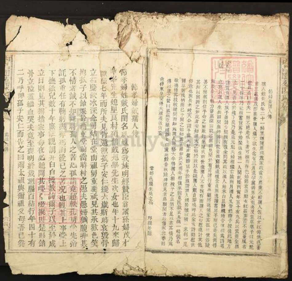 江西省吉安市泰和市陈氏族谱-西昌阆苑陈氏族谱.pdf电子版预览图2