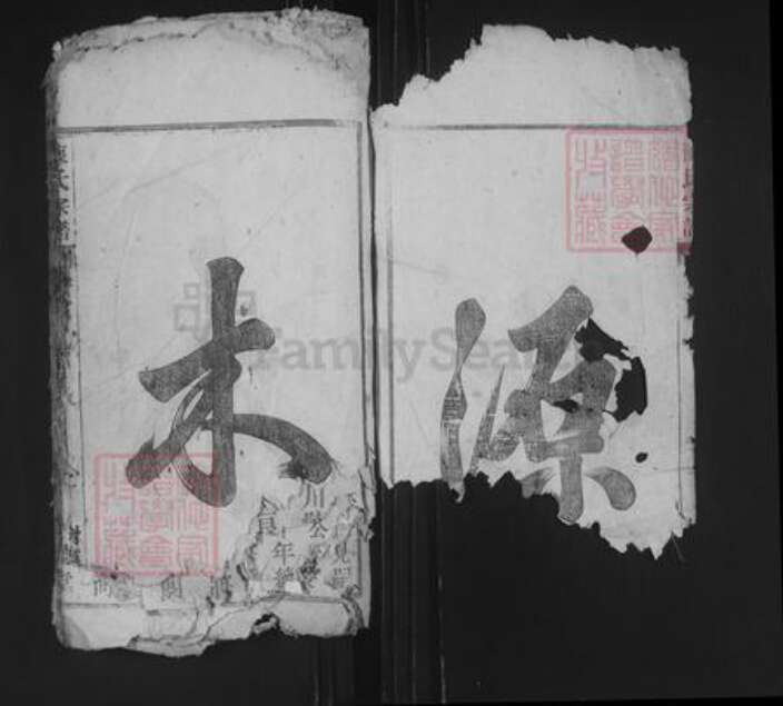 安徽省安庆市桐城市陈氏树德堂族谱-义门陈氏宗谱.pdf电子版预览图1