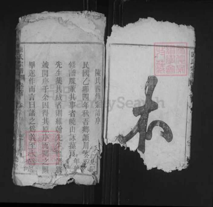 安徽省安庆市桐城市陈氏树德堂族谱-义门陈氏宗谱.pdf电子版预览图2