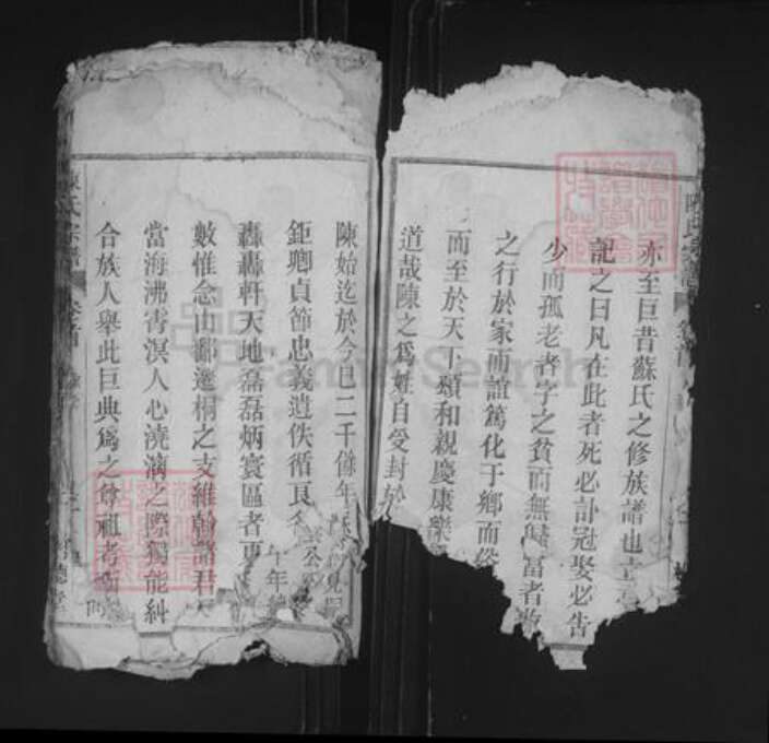 安徽省安庆市桐城市陈氏树德堂族谱-义门陈氏宗谱.pdf电子版预览图3