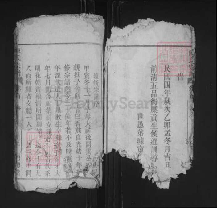 安徽省安庆市桐城市陈氏树德堂族谱-义门陈氏宗谱.pdf电子版预览图5