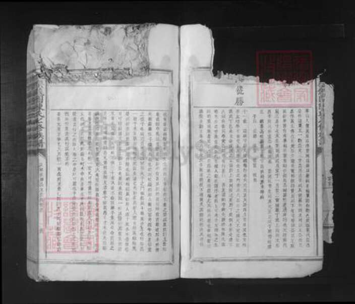 江西省抚州市陈氏族谱-抚乐钱团陈氏七修族谱.pdf电子版预览图2