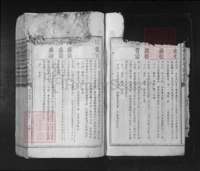 江西省抚州市陈氏族谱-抚乐钱团陈氏七修族谱.pdf电子版预览图5