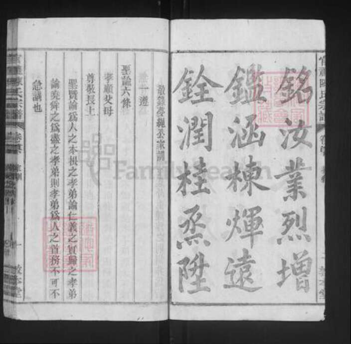 江西省上饶市余干县乌泥镇陈氏敦本堂族谱-官礼陈氏宗谱.pdf电子版预览图4