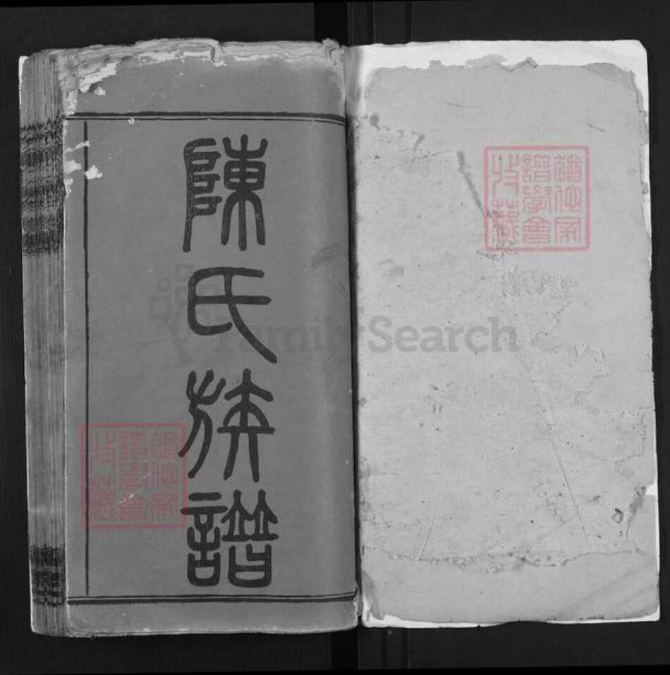 湖南省湘潭市湘乡市壶天镇陈氏聚星堂族谱-石狮江陈氏族谱.pdf电子版预览图1