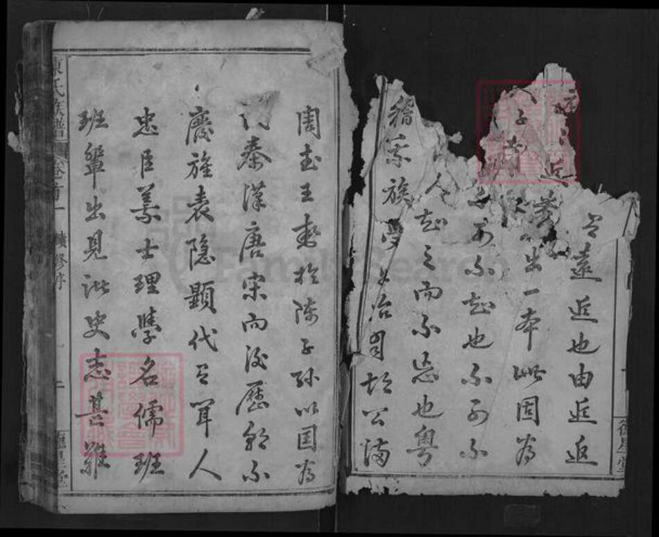 湖北省武汉市新洲区陈氏德星堂族谱-陈氏族谱.pdf电子版预览图1