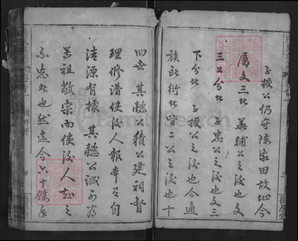 湖北省武汉市新洲区陈氏德星堂族谱-陈氏族谱.pdf电子版预览图3