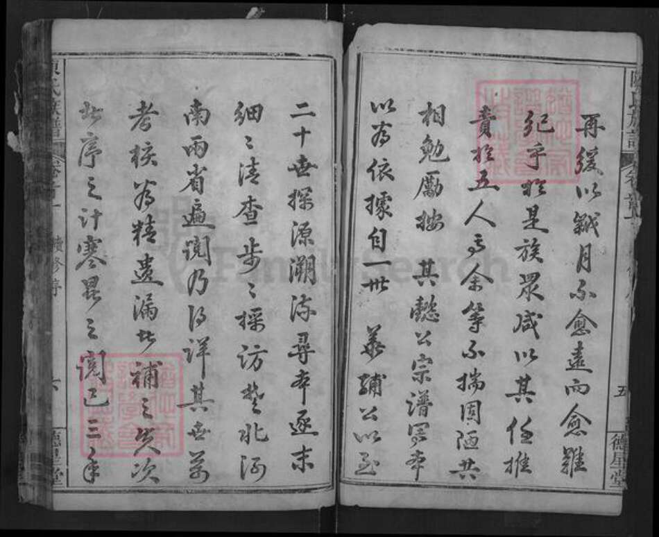 湖北省武汉市新洲区陈氏德星堂族谱-陈氏族谱.pdf电子版预览图5