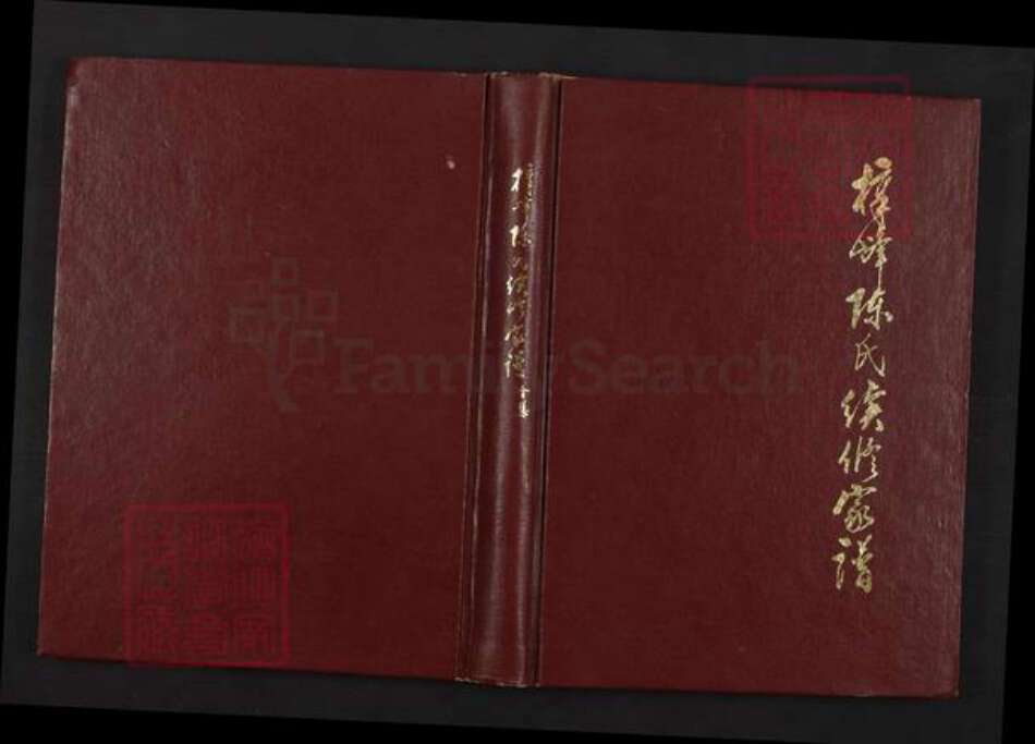 福建省宁德市福鼎市管阳镇陈氏族谱-樟峰陈氏续修家谱.pdf电子版缩略图