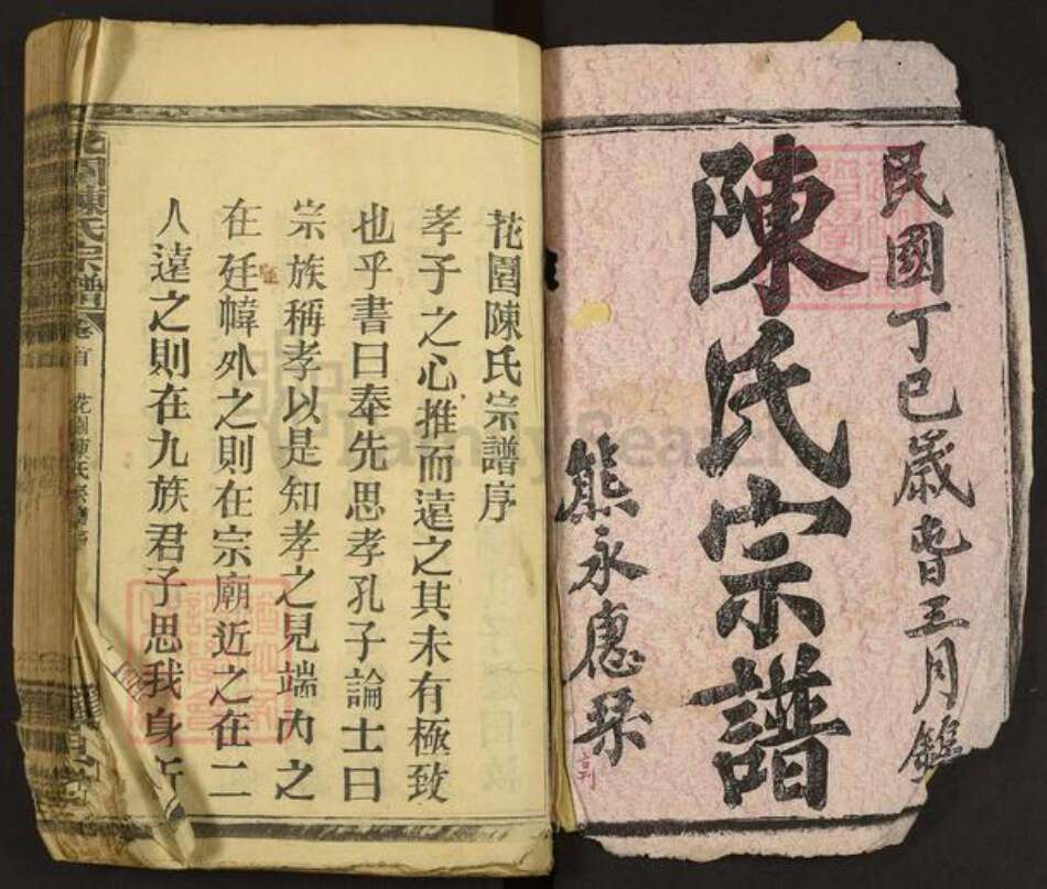 湖北省孝感市汉川市陈氏义门堂族谱-花园陈氏宗谱.pdf电子版预览图1