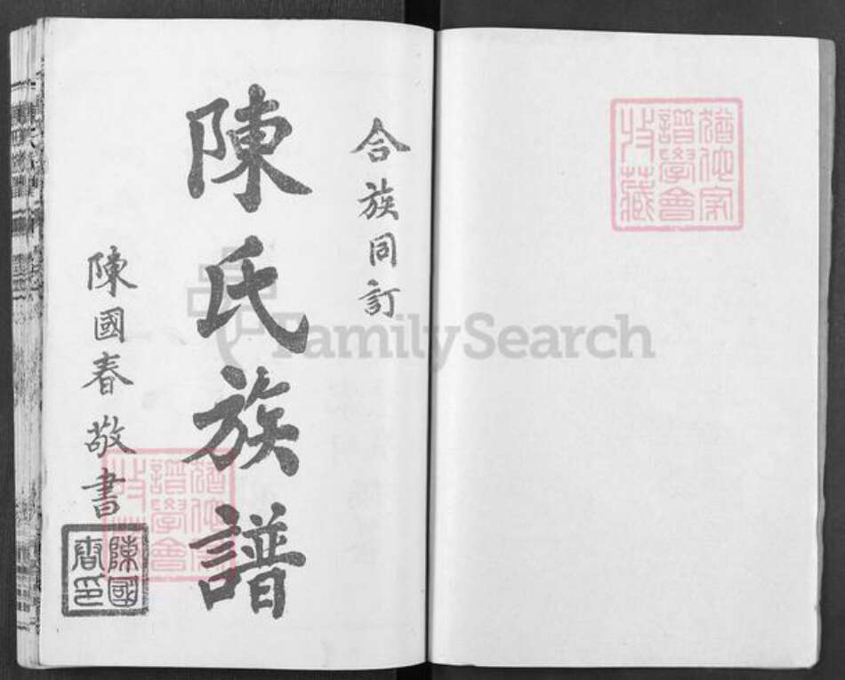 湖北省荆门市东宝区仙居乡镇陈氏积义堂族谱-陈氏族谱.pdf电子版预览图1